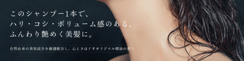 �������O�W���A���[�V�����v�[���T�C�g